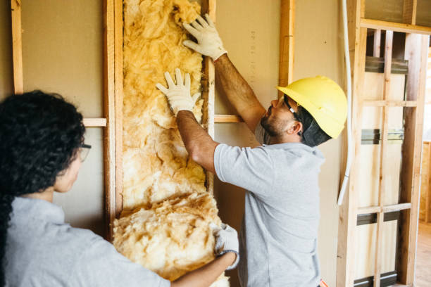 Best Insulation for New Construction  in Manti, UT